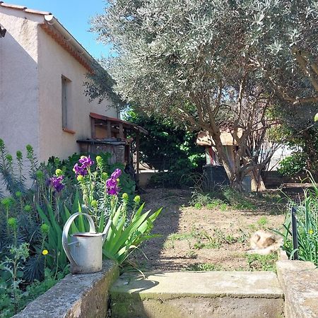 Villa 80 M2 Jardin Terrasse 3 Chambres Provence Volx Exterior foto